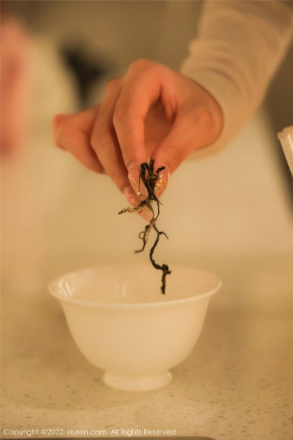 能免费观看黄色电影的网站海报